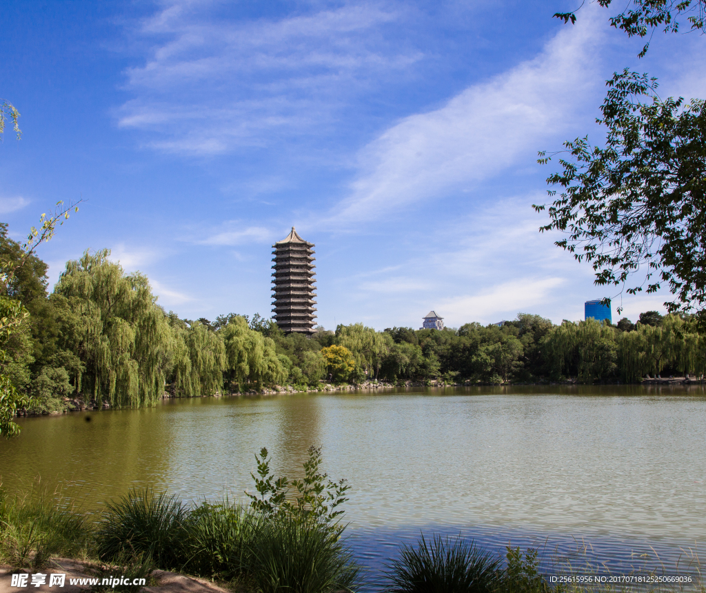 北京大学