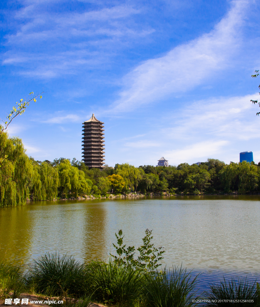 北京大学