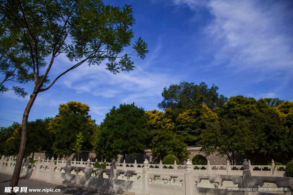 北京大学