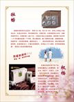 权健牡蛎