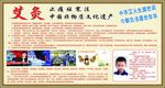 艾灸宣传 艾灸的作用
