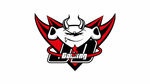 京东战队logo