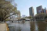 沈阳南湖公园 湖边