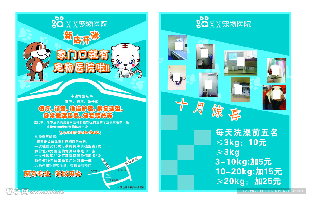 宠物医院宣传单页