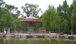 公园风景