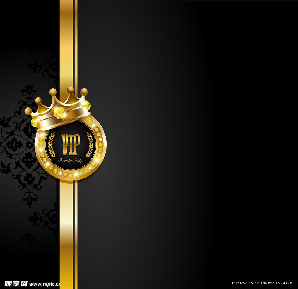 VIP背景矢量图片