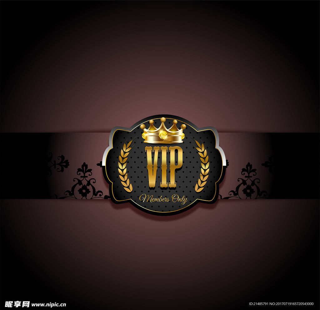 VIP背景矢量图片