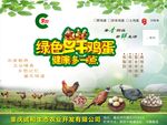 野鸡蛋