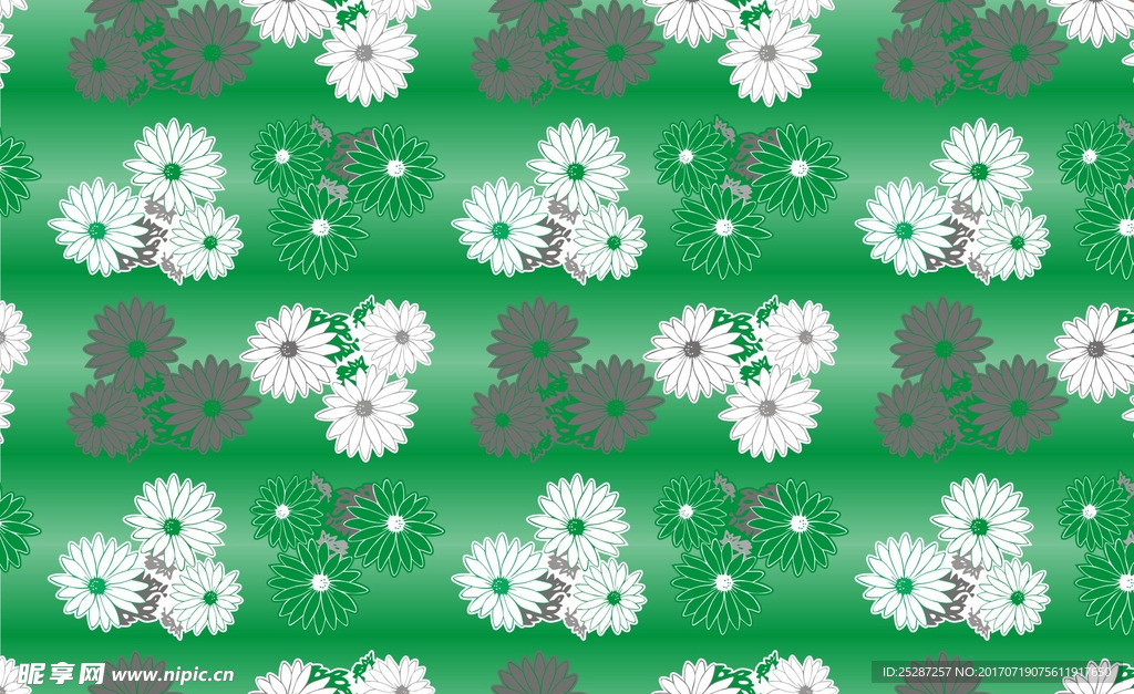 绿色背景菊花