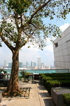 香港海港城树木屋顶