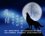 狼