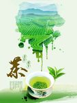 清香茶园茶文化