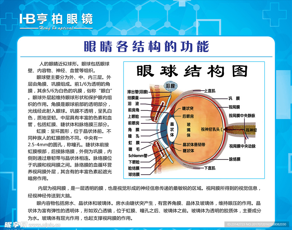 亨柏眼镜灯片