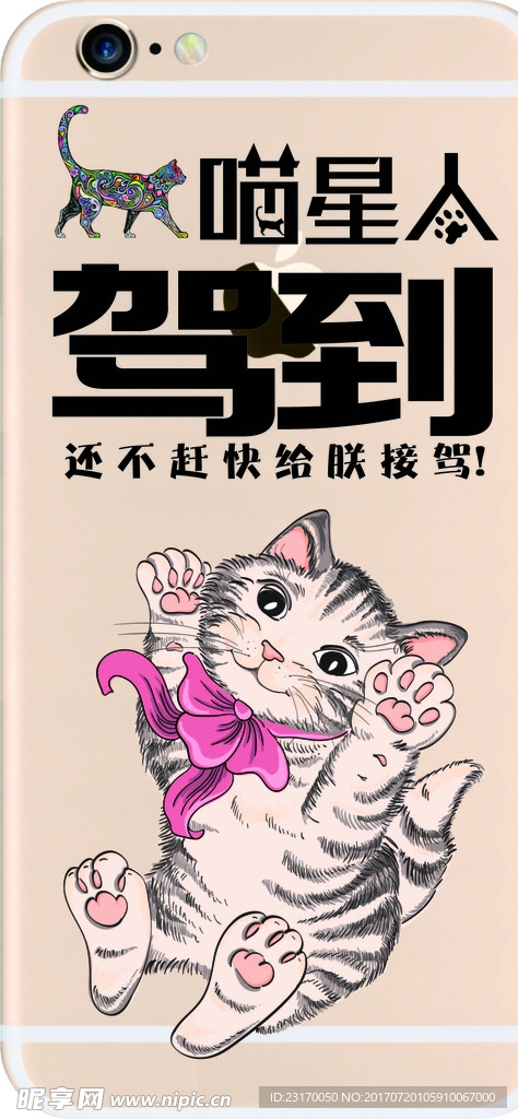 卡通猫