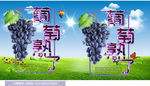 葡萄熟了16图片