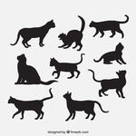 卡通猫