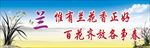 兰花