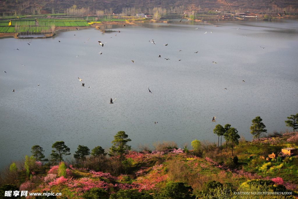 山水风景