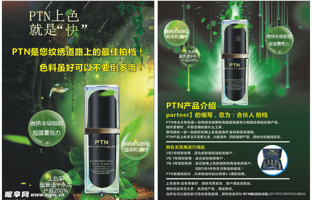 PTN上色