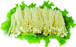 金针菇 蘑菇 菇