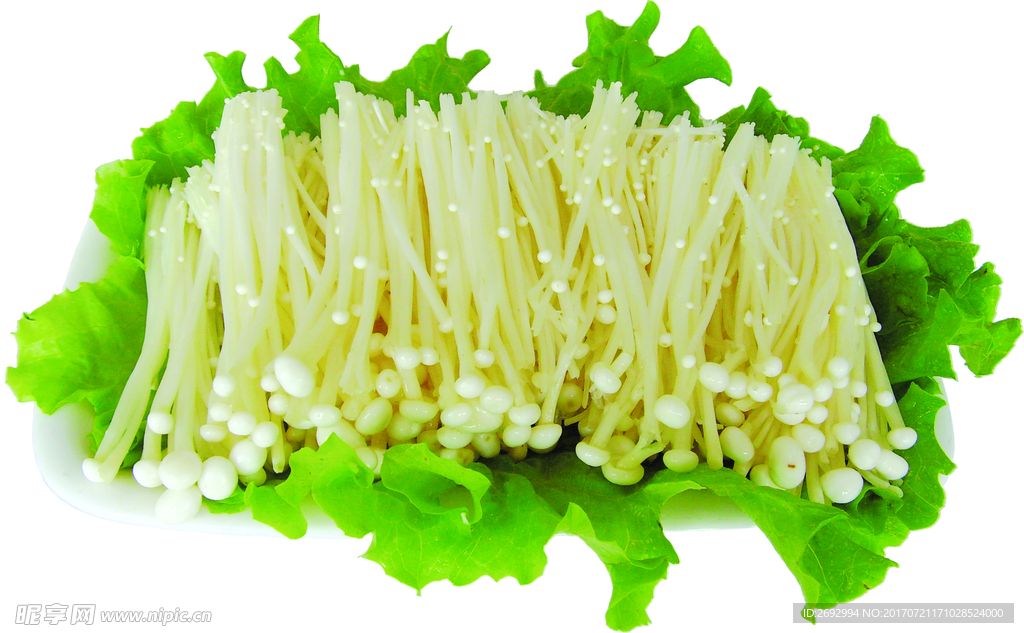 金针菇 蘑菇 菇