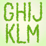 四叶草树叶字母矢量图下载