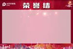 太平洋保险  荣誉墙