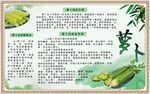 养生食材萝卜