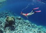 海底潜水    海底游玩游泳