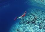 海底潜水    海底游玩游泳