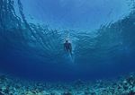 海底潜水 海底游玩游泳