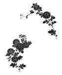 花纹