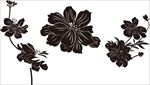 花纹
