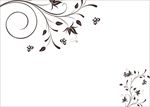 花纹