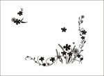 花纹