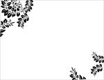 花纹