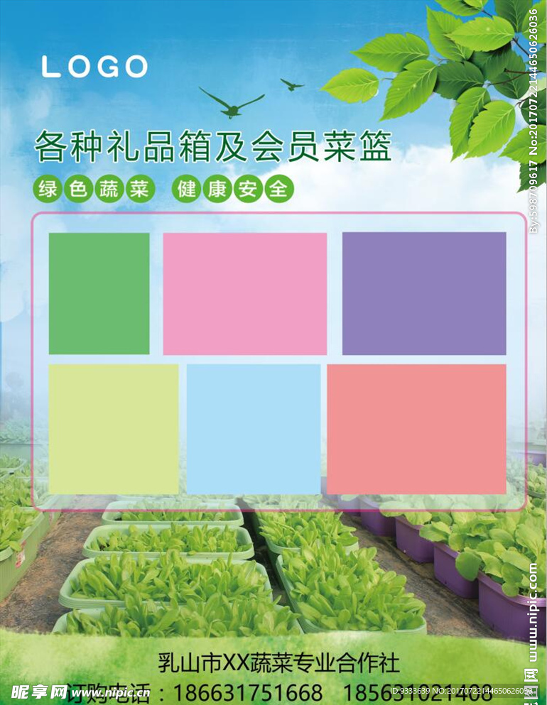 绿色采摘蔬菜园
