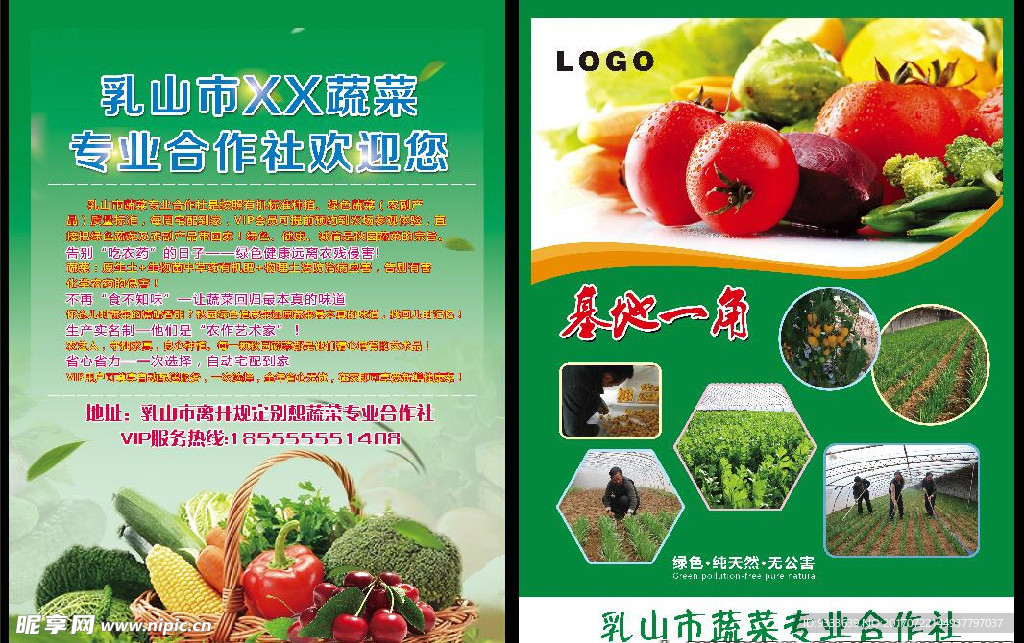 采摘园蔬菜宣传页