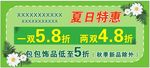 绿色清新夏日特惠海报