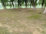 空地