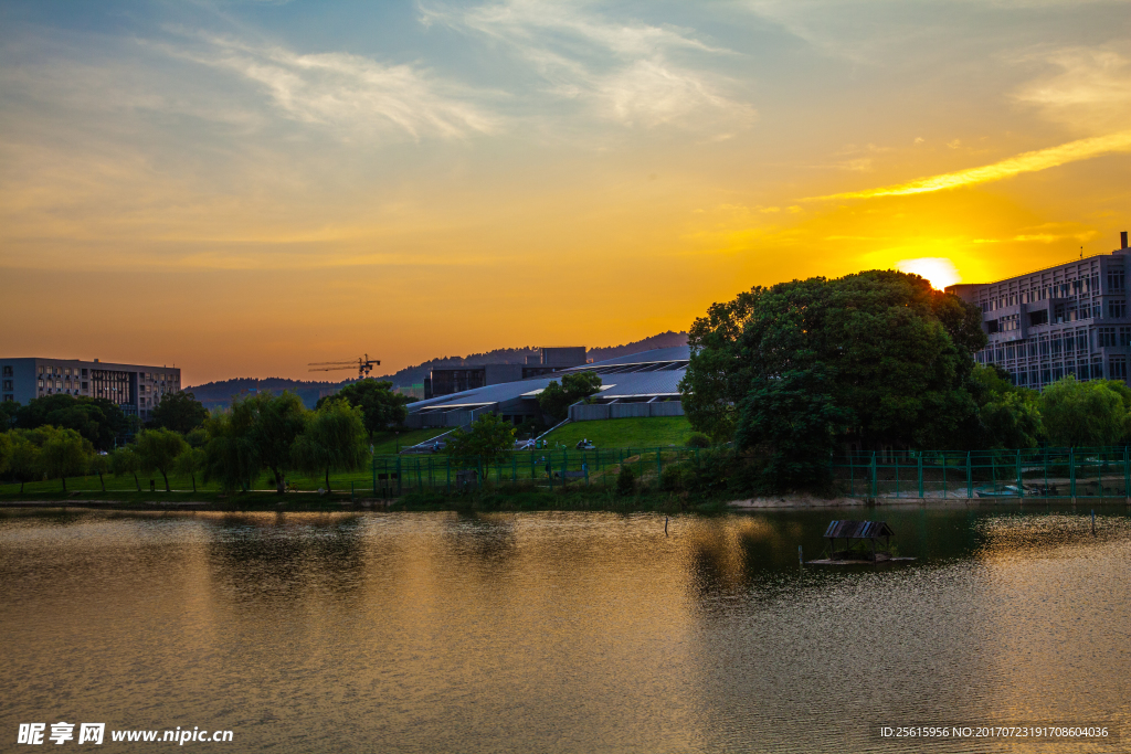 中南大学