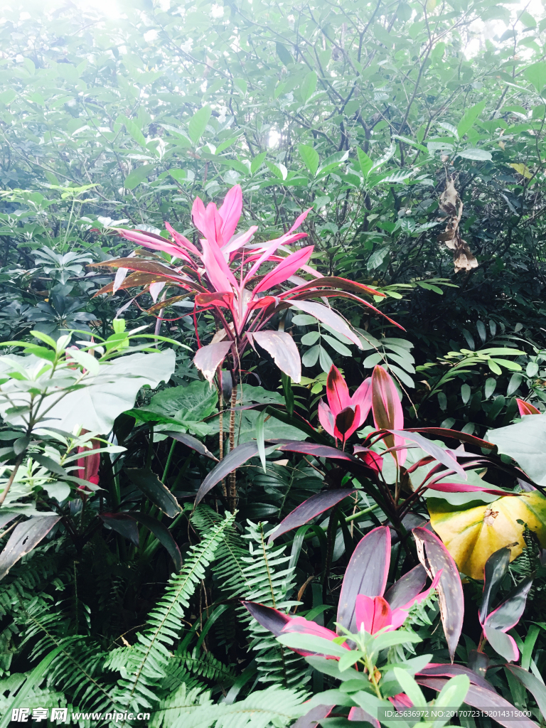 花