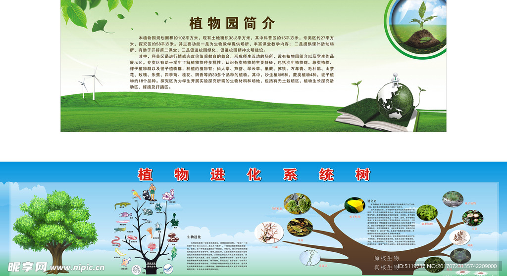 植物进化系统树