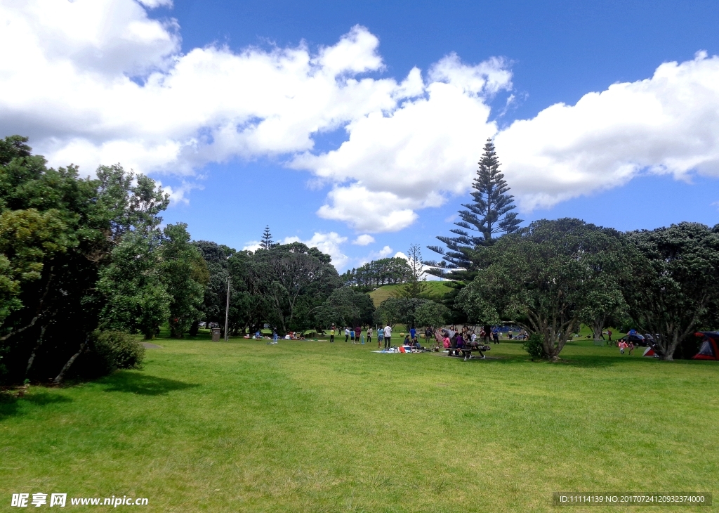 新西兰海滨公园风景