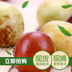 冬枣主图