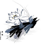 荷花国画