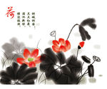 中国画荷花