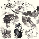 荷花国画