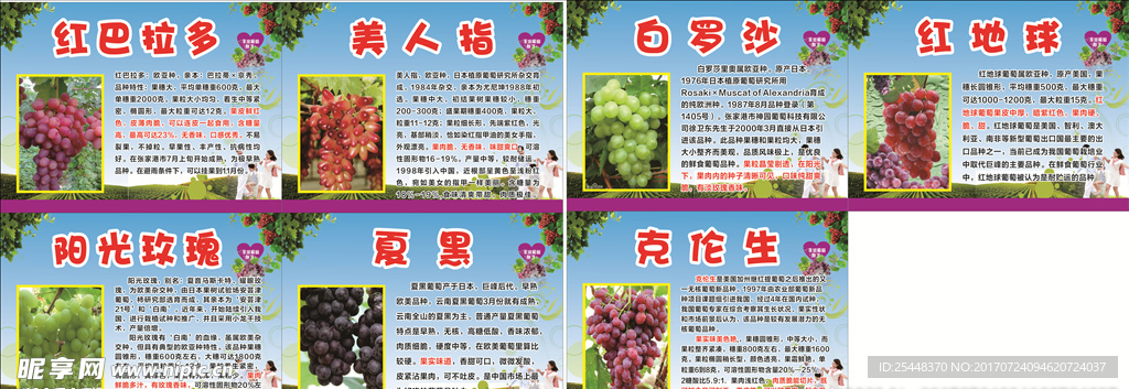 葡萄简介