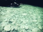 漂流